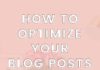 Business infographic : How To Optimize Your Blog Posts For Pinterest