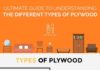 Business infographic : Marketing ideas for Plywood business