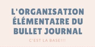 Business infographic : Organisation élémentaire du Bullet Journal