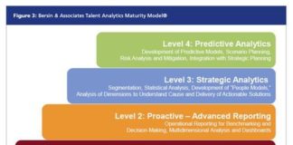 Management : Management : Big Data in Human Resources: Talent Analytics (People Analytics) Comes of Age