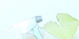 Management : Organisation ménage : mise en place d’un ménage hebdomadaire + fiche à imprimer