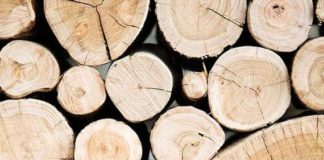 Marketing strategies : Wood Pile Photograph 8×10 Fabric Block – Great for Quilting, Pillows & Wall Art – Buy 2, Get 1 FREE