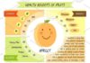 Medical infographic : Cute infographic page of Health Benefits of fruits. Medical Infographic