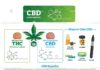Medical infographic : #infographics #illustration #psychoactive #cannabidiol #infographic