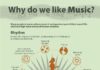 Psychology : Music and the brain.