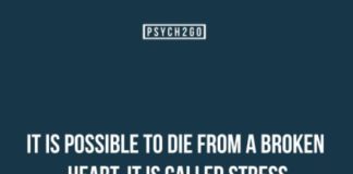 Psychology : Psychology : HIT PLAY AND SCROLL DOWN