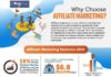 Statistics infographic : Affiliate Marketing Statistics #infographic #Business