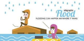 Statistics infographic : Flood Infograph / Statistics