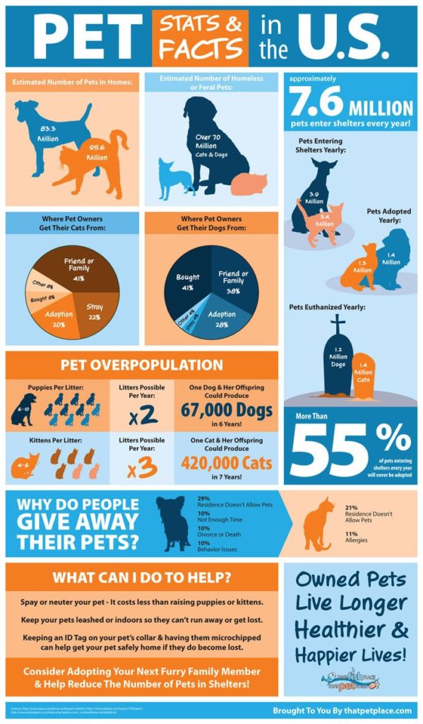 Statistics infographic : Pet Ownership & Shelter Statistics ...