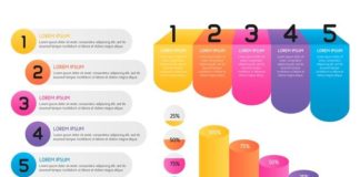 Statistics infographic : Statistical infographic templates in gradient shades Vector | Free Download