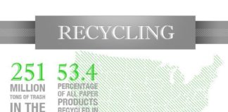 Statistics infographic : Statistics infographic : INFOGRAPHIC: Greenest U.S. States