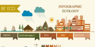 Statistics infographic : designtnt vectors infographic ecology Eco Infographic