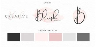 canva infographic – identité pastel