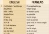 education infographic – 155 Phrases nécessaires pour mener une conversation en anglais