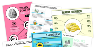 free infographic maker – Free Infographic Maker – Venngage