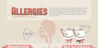 health infographic – Allergies