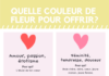 what is an infographic – Quelle couleur de fleur pour offrir – Chic et responsable