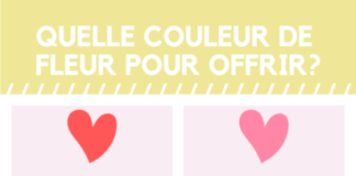 what is an infographic – Quelle couleur de fleur pour offrir – Chic et responsable
