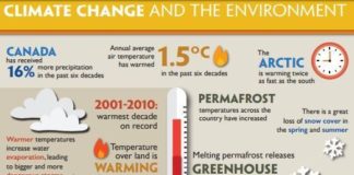 climate change infographic – ALL ABOUT CLIMATE CHANGE
