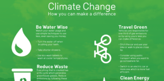 climate change infographic – How You Can Stop Climate Change