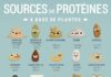 health infographic – Régime vegan : comment équilibrer ses apports en protéines ?