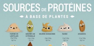 health infographic – Régime vegan : comment équilibrer ses apports en protéines ?