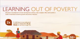 infographic examples – 101 Best Infographic Examples for Beginners (2021 List)