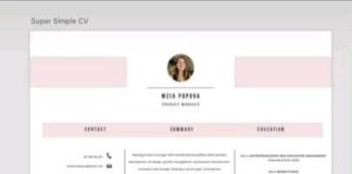 infographic resume – Design Attractive Simple #CV Fast and Easly