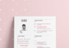infographic resume – Graphic Designer Resume / CV