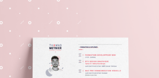 infographic resume – Graphic Designer Resume / CV