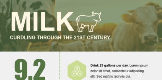 infographic template – 500+ Free Infographic Design Templates – Visme