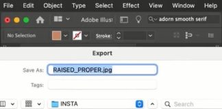 infographic video – adobe illustrator tutorial