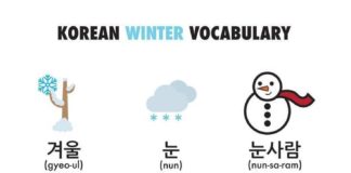 by the numbers infographic –