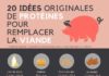health infographic – 20 idées de protéines originales pour remplacer la viande | Vifa Magazine