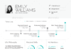 infographic resume –