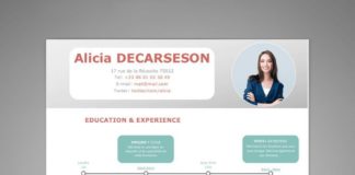 infographics sample – Exemple de CV Bien fait l Créer un CV