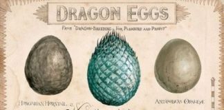 infographics show –