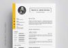 simple infographic – Modèle De Curriculum Vitae Avec Photo
