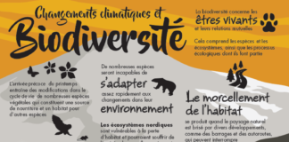 what is an infograph – Parlons énergie – Plans de cours et infographie sur l’adaption des changements climatiques au Canada