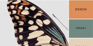 by the numbers infographic – Brand Better: 12 modern color palettes to steal — Brand Spanking You