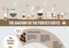 coffee infographic – Aqua Cure