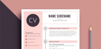 infographic template – Modèle De Cv De Couleur Féminine