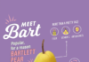 infographic video – Meet Bart