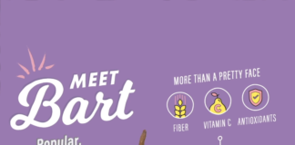 infographic video – Meet Bart