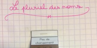 interactive infographic – LAM (Leçons A Manipuler) – Partagedecarole