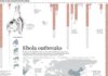 cdc infographic – 5 Questions about Ebola, answered with infographics