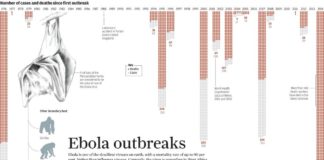 cdc infographic – 5 Questions about Ebola, answered with infographics
