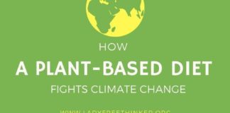 climate change infographic – How a Plant-based Diet Fights Climate Change
