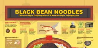 food infographic – 2019_05 Black Bean Noodles