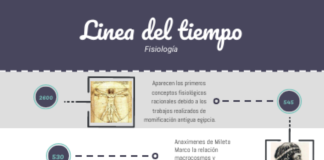free infographic maker – FISIOLOGIA